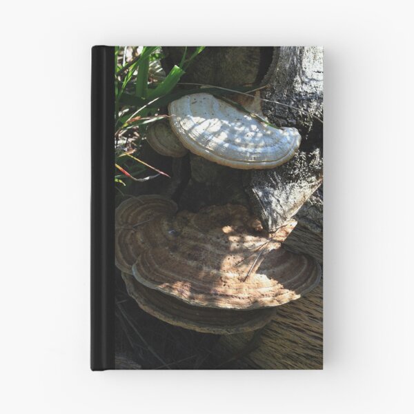 Item preview, Brown Fungii  designed and sold by KazM.