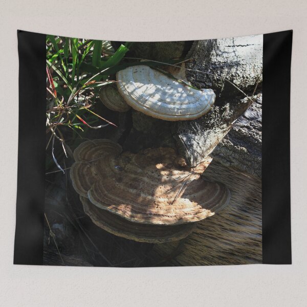 Item preview, Brown Fungii  designed and sold by KazM.