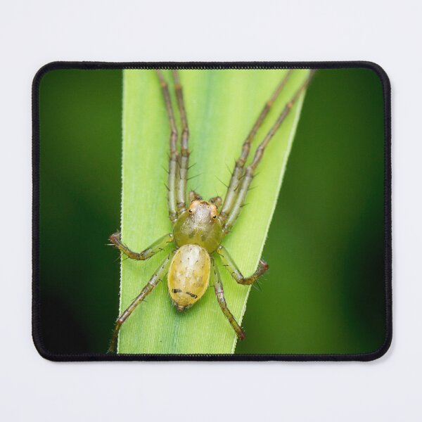 Item preview, A lynx spider laying in wait designed and sold by AvonPerception.