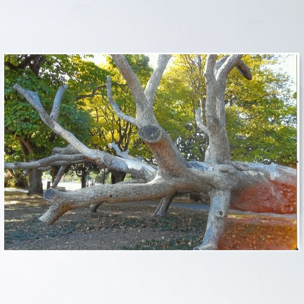 Item preview, Fallen Log In Stanley Park,Vancouver designed and sold by RobynLee.