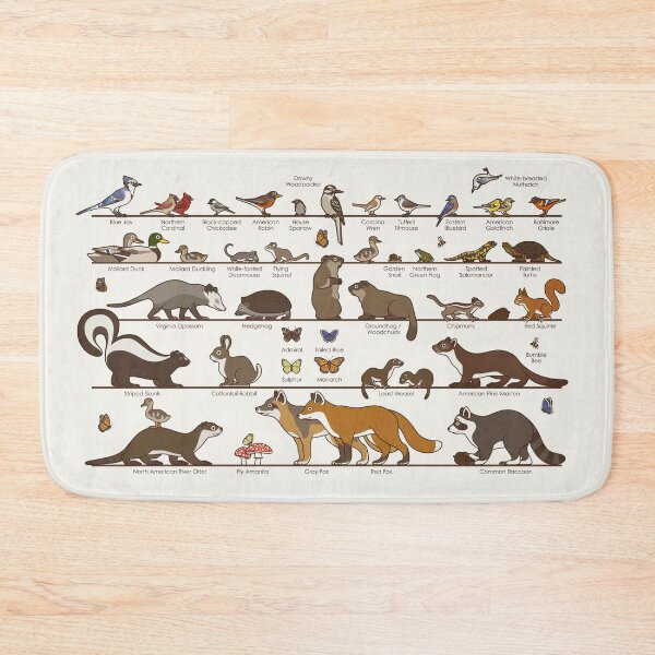 Item preview, Common Wildlife of New England designed and sold by Iris Luckhaus.