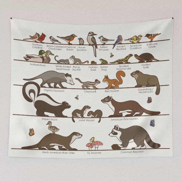 Item preview, Common Wildlife of New England designed and sold by Iris Luckhaus.