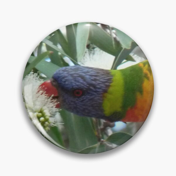 Item preview, Parakeet Pollen designed and sold by Merlinatia.
