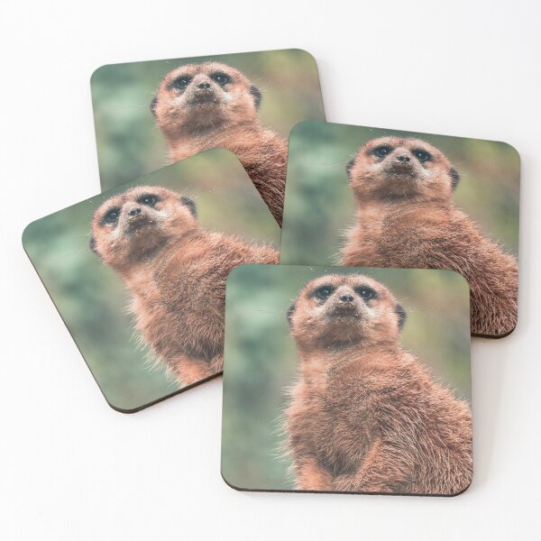 Item preview, Portrait of a cute meerkat designed and sold by SophieHueper.