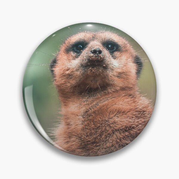 Item preview, Portrait of a cute meerkat designed and sold by SophieHueper.