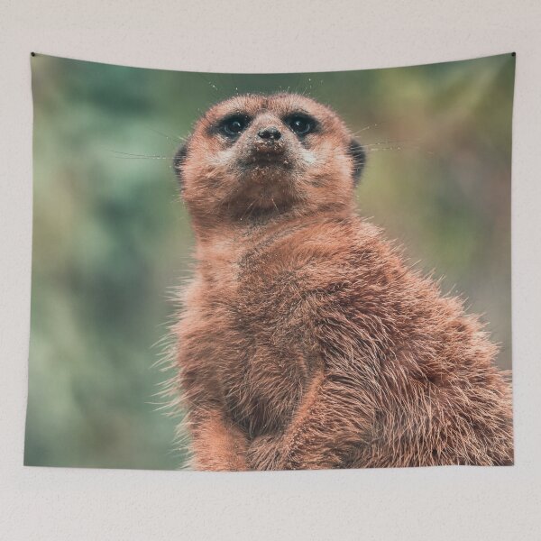 Item preview, Portrait of a cute meerkat designed and sold by SophieHueper.