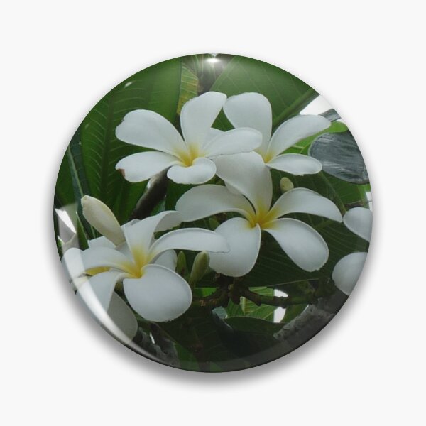 Item preview, Polynesian Gardenia designed and sold by Merlinatia.