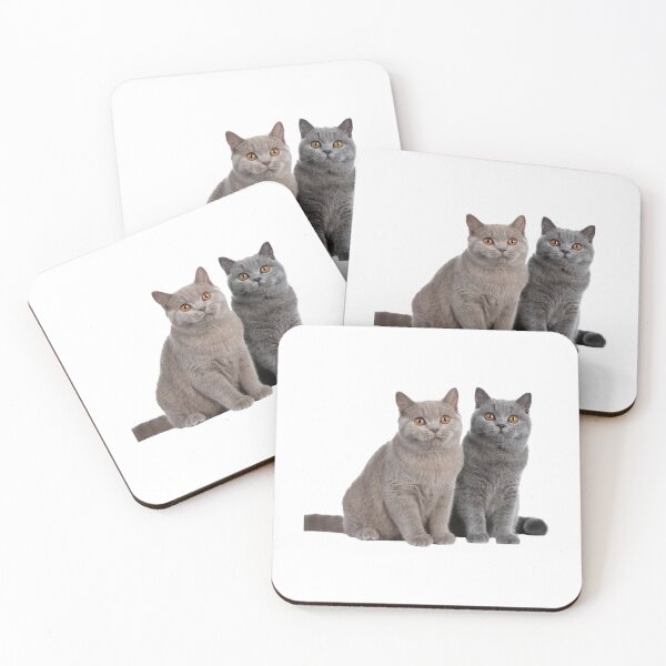 Item preview, 8 out of 10 cats   designed and sold by CardsNeverFails.
