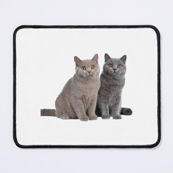 Item preview, 8 out of 10 cats designed and sold by CardsNeverFails.