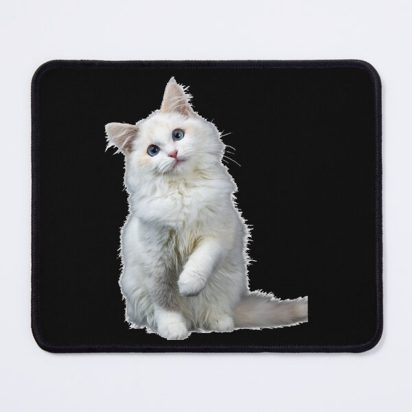 Item preview, 8 out of 10 cats   designed and sold by CardsNeverFails.