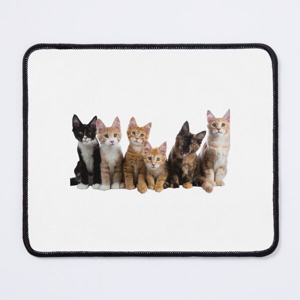 Item preview, 8 out of 10 cats   designed and sold by CardsNeverFails.