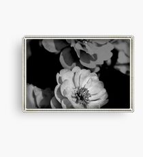 Dreaming in Black and White Canvas Print