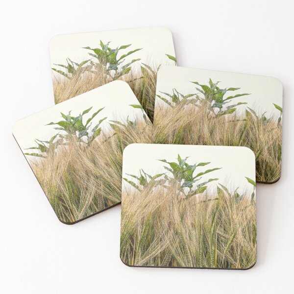 Item preview, Normandy Wheat Field designed and sold by nbrandsberg.
