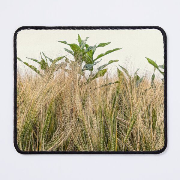 Item preview, Normandy Wheat Field designed and sold by nbrandsberg.
