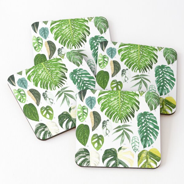 Item preview, Monstera | Types of Monstera | Plant Lover print designed and sold by meechu.