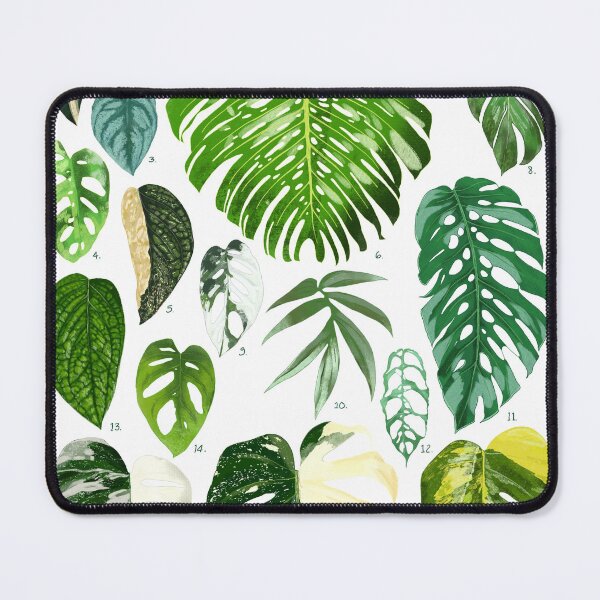 Item preview, Monstera | Types of Monstera | Plant Lover print designed and sold by meechu.