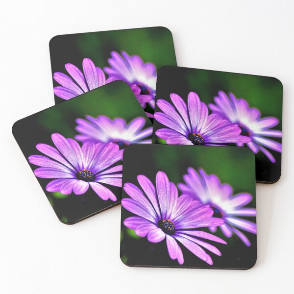 Item preview, Purple African Daisies designed and sold by AH Fotography.