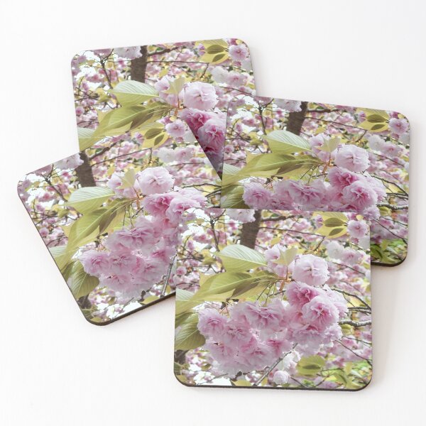 Item preview, Beautiful Shinjuku Gyoen National Garden Flower Tokyo Japan designed and sold by XIX361ART.
