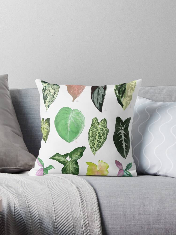 Syngonium Types of Syngonium Plant Lovers print