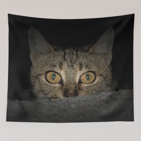 Item preview, Sneaky Cat designed and sold by DesignVertex.