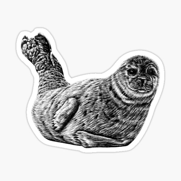 Item preview, Baby seal designed and sold by LorenDowding.