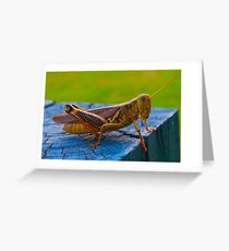 Hopper Greeting Card