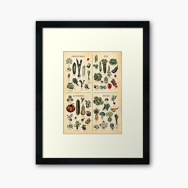 Item preview, FRENCH Seasonal Fruit and Veg Chart  designed and sold by Highdown73.