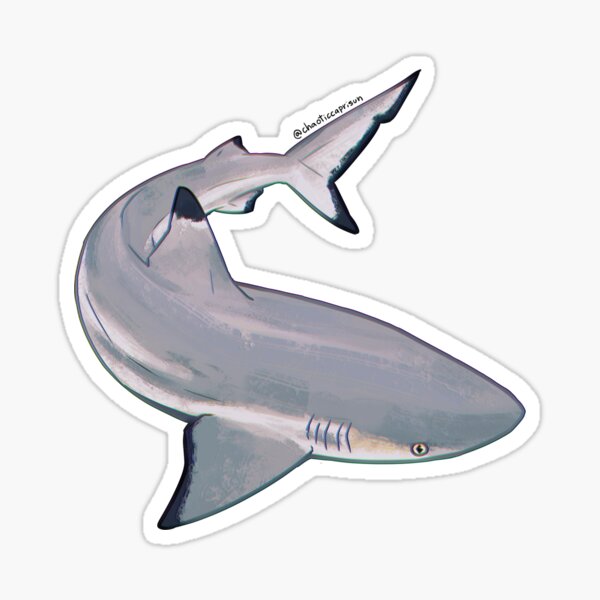 Silly Stickers Hammerhead Shark - Rambunctious Edition Sticker for Sale by  Alex Helms