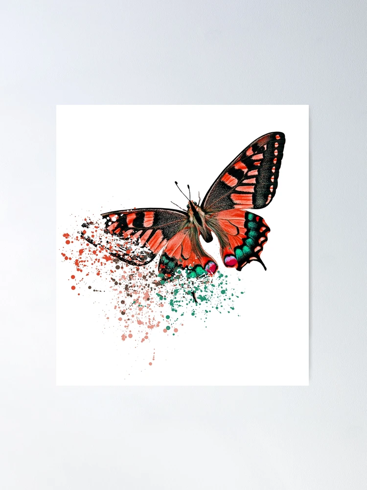 銅版画大作品　Butterfly　effect squarepapersmaller_13a1244b-