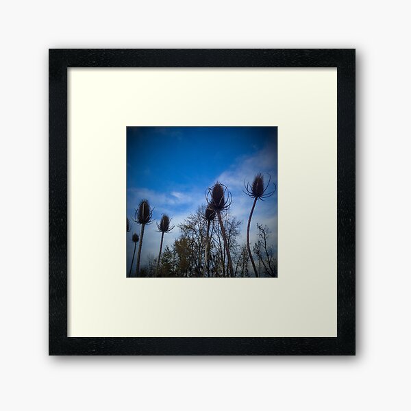 Autumn Thisel Framed Art Print