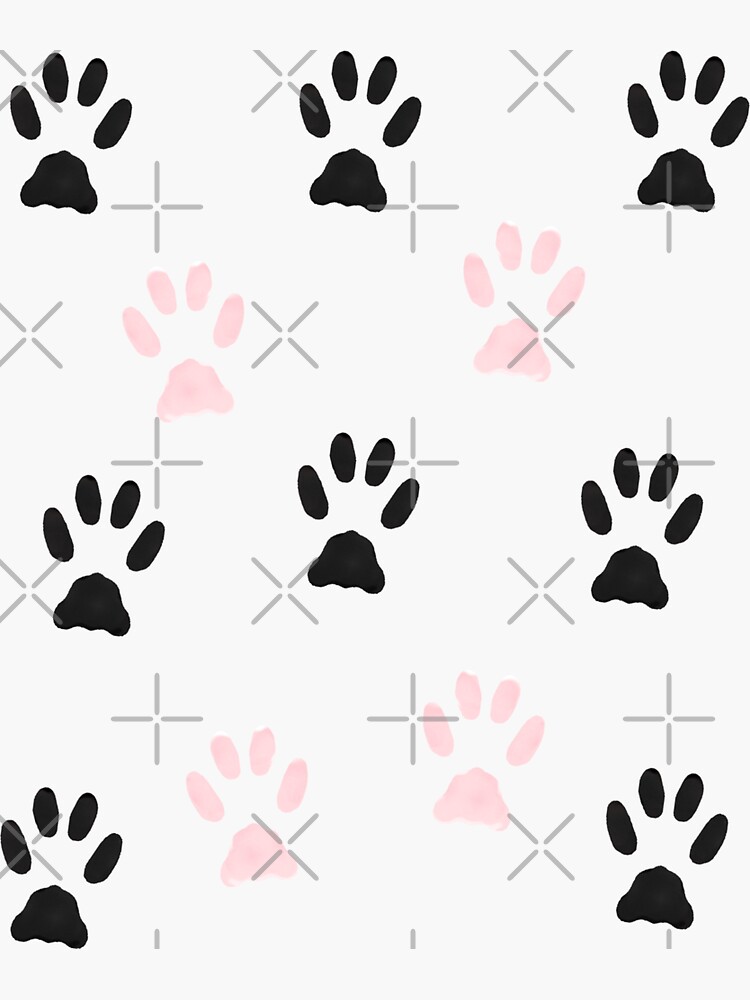 "Teddy Bear Paws Cutest Cat lovers Gift Ever" Sticker for Sale by Redbubble