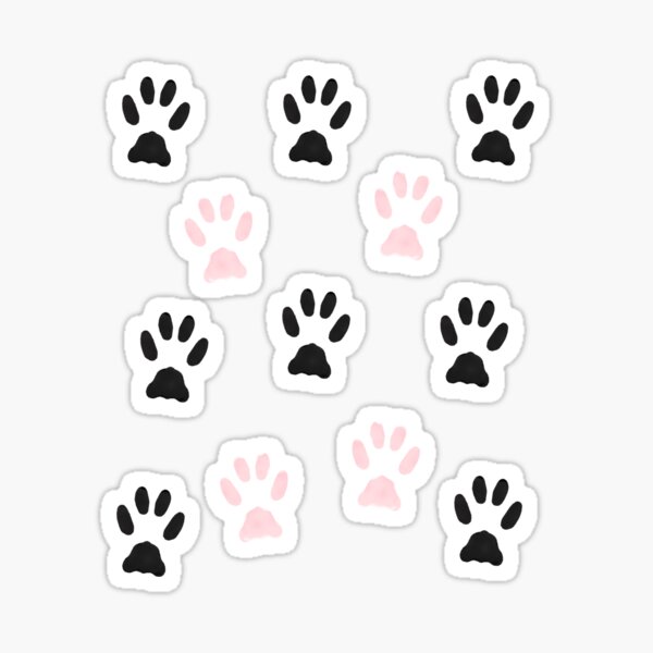 "Teddy Bear Paws Cutest Cat lovers Gift Ever" Sticker for Sale by Redbubble