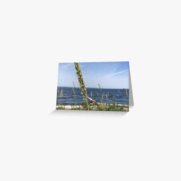 Grass in the wind Greeting Card