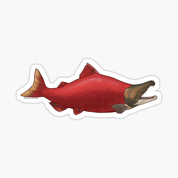 sockeye salmon  Sticker for Sale by chaoticcaprisun