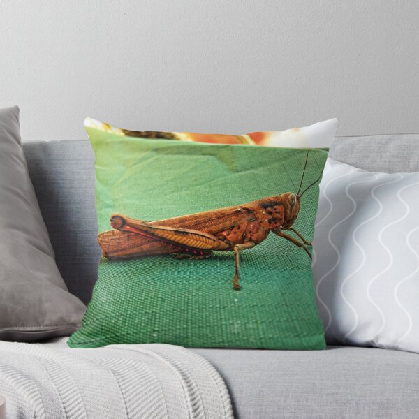 Aperçu de l'œuvre Tropical Grasshopper créée et vendue par V1mage.