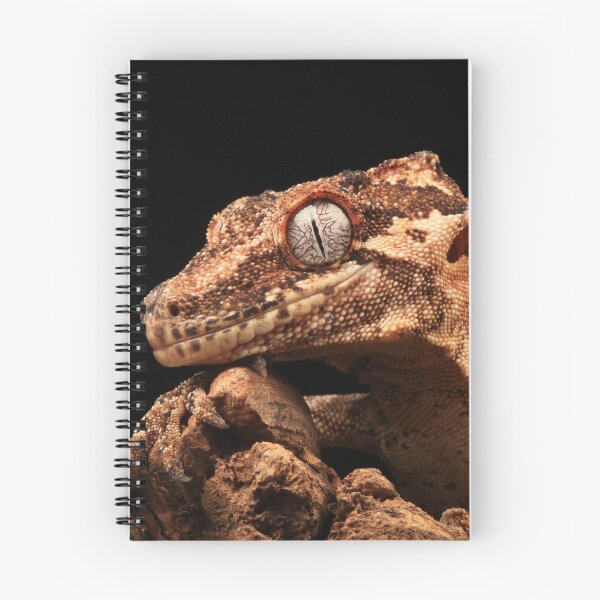 Item preview, Gargoyle Gecko designed and sold by JMCPhotoGoose.