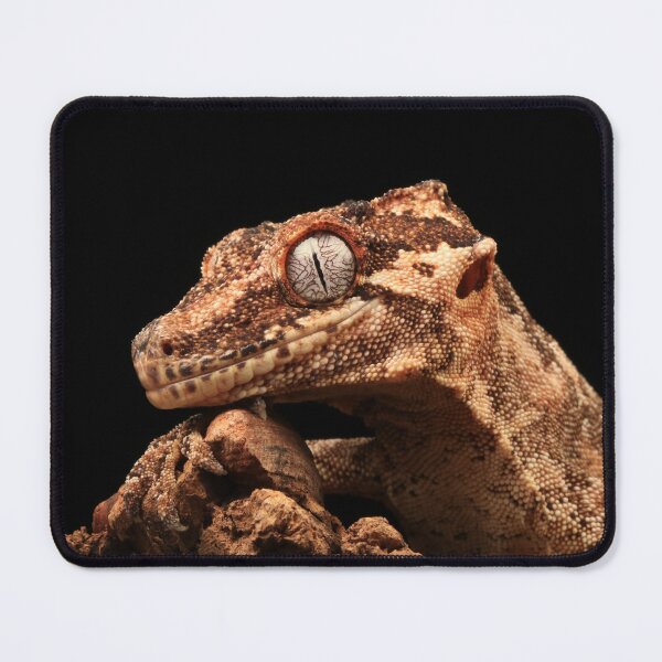Item preview, Gargoyle Gecko designed and sold by JMCPhotoGoose.