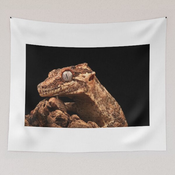 Item preview, Gargoyle Gecko designed and sold by JMCPhotoGoose.