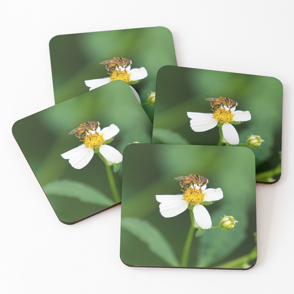 Item preview, Coasters (Set of 4) designed and sold by eaphoto683.