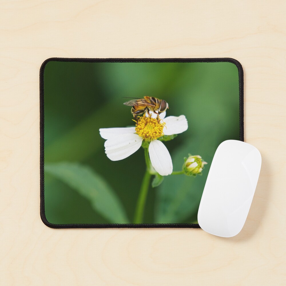 Item preview, Mouse Pad designed and sold by eaphoto683.