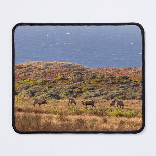 Item preview, Elk Herd Among Colorful Grasses by the Sea, California designed and sold by SafariByMarisa.