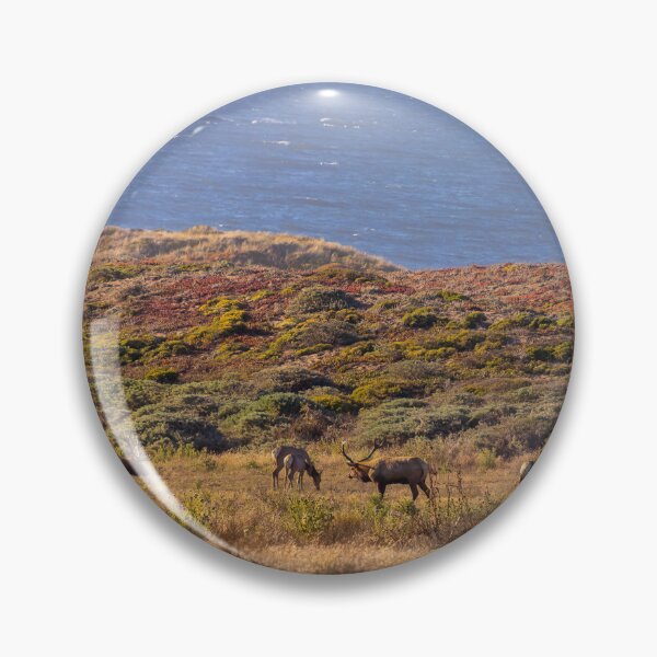 Item preview, Elk Herd Among Colorful Grasses by the Sea, California designed and sold by SafariByMarisa.