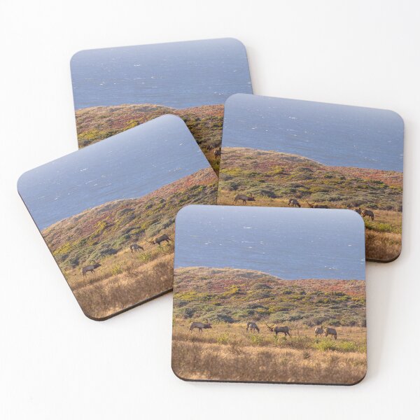 Item preview, Elk Herd Among Colorful Grasses by the Sea, California designed and sold by SafariByMarisa.