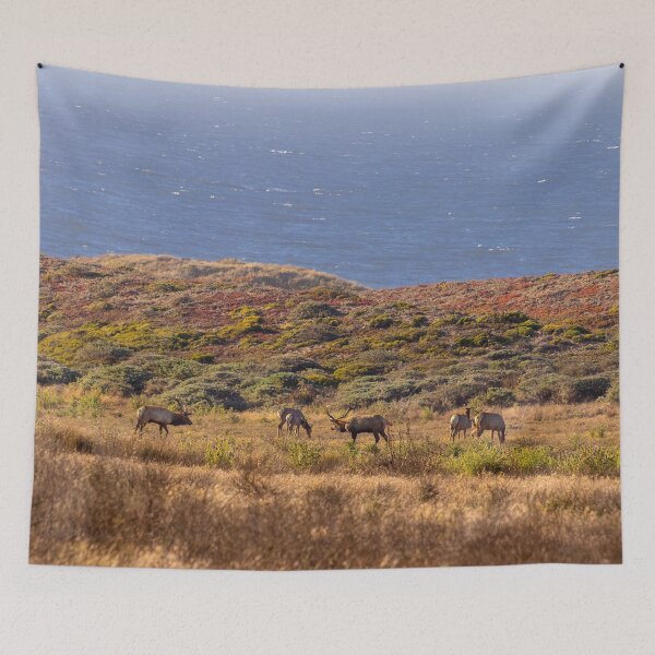 Item preview, Elk Herd Among Colorful Grasses by the Sea, California designed and sold by SafariByMarisa.