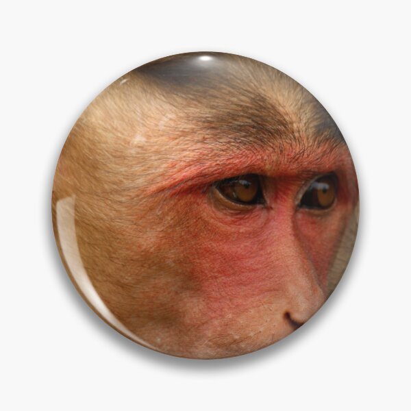 Item preview, Bonnet Macaque Monkey designed and sold by VgBingi.