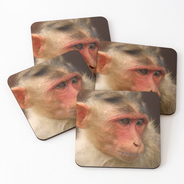Item preview, Bonnet Macaque Monkey designed and sold by VgBingi.