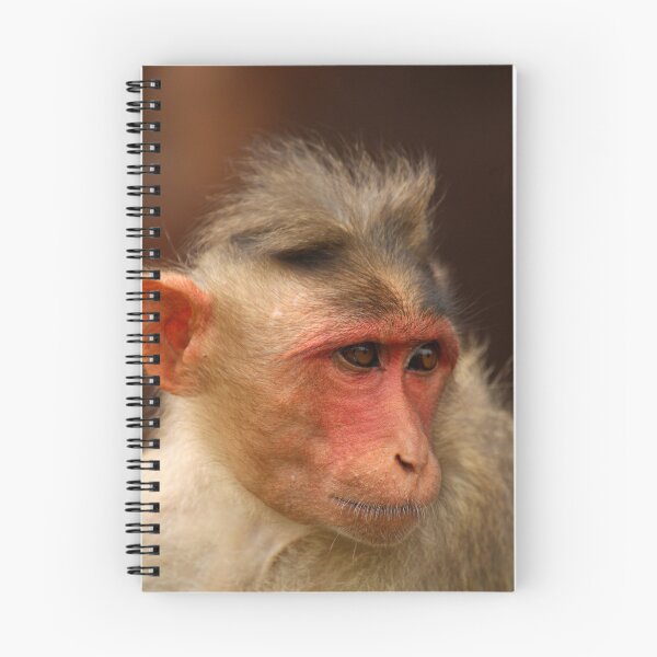 Item preview, Bonnet Macaque Monkey designed and sold by VgBingi.
