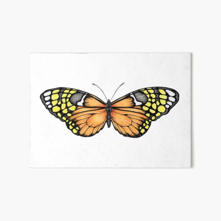 Item preview, Papillon orange designed and sold by PetitMartin.
