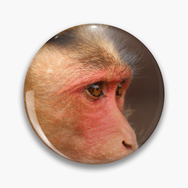 Item preview, Bonnet Macaque Monkey designed and sold by VgBingi.