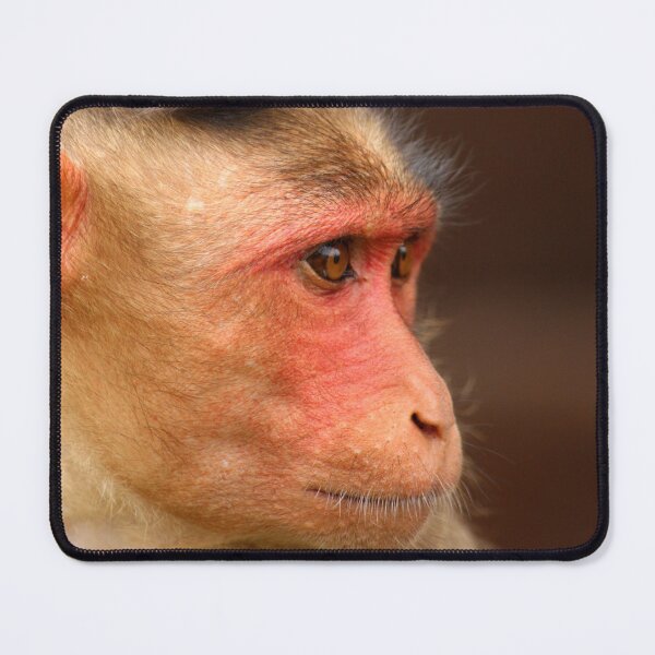 Item preview, Bonnet Macaque Monkey designed and sold by VgBingi.